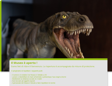 Apertura del Museo dei fossili a Meride